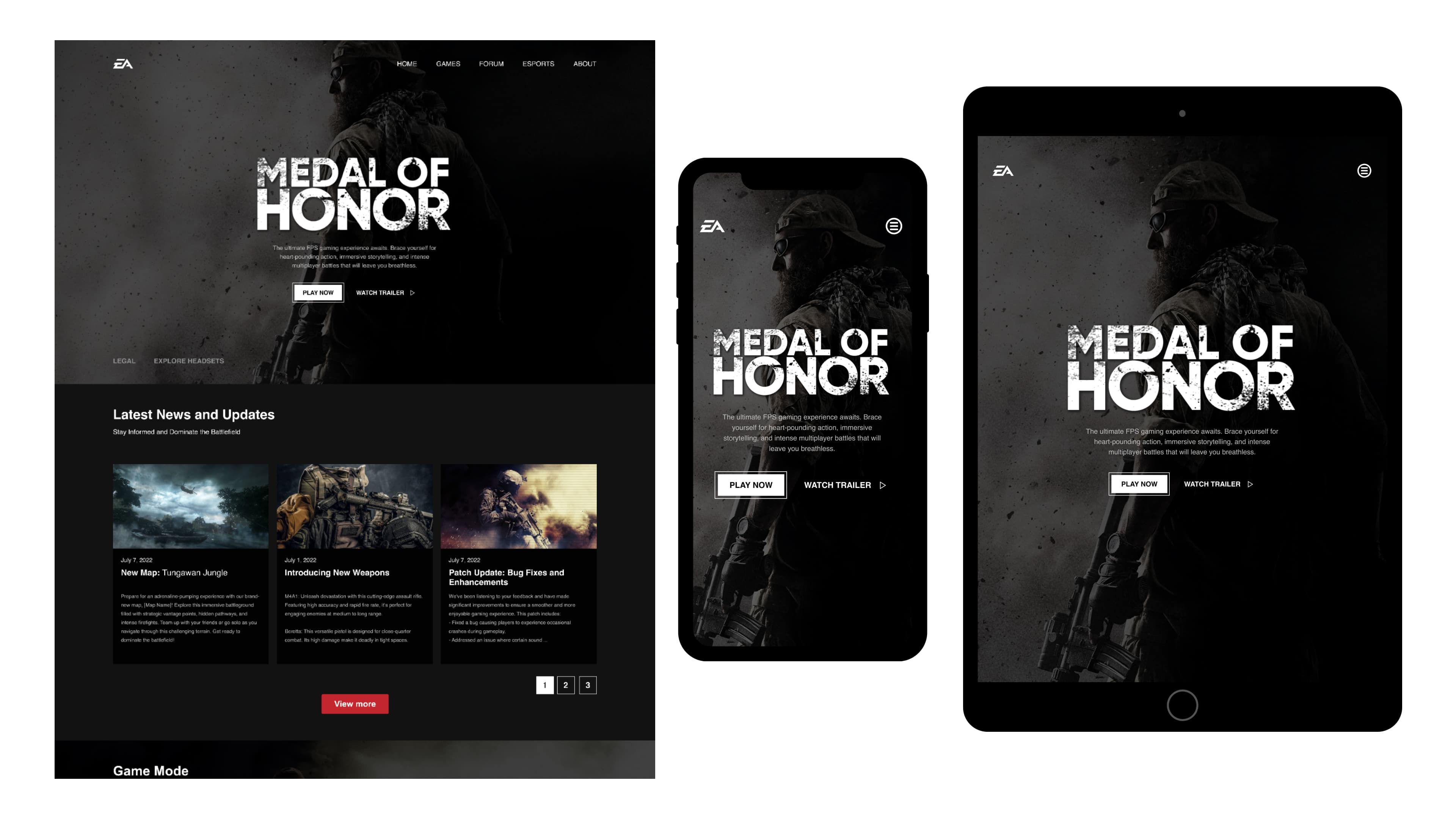 Medal of Honor (Case Study)