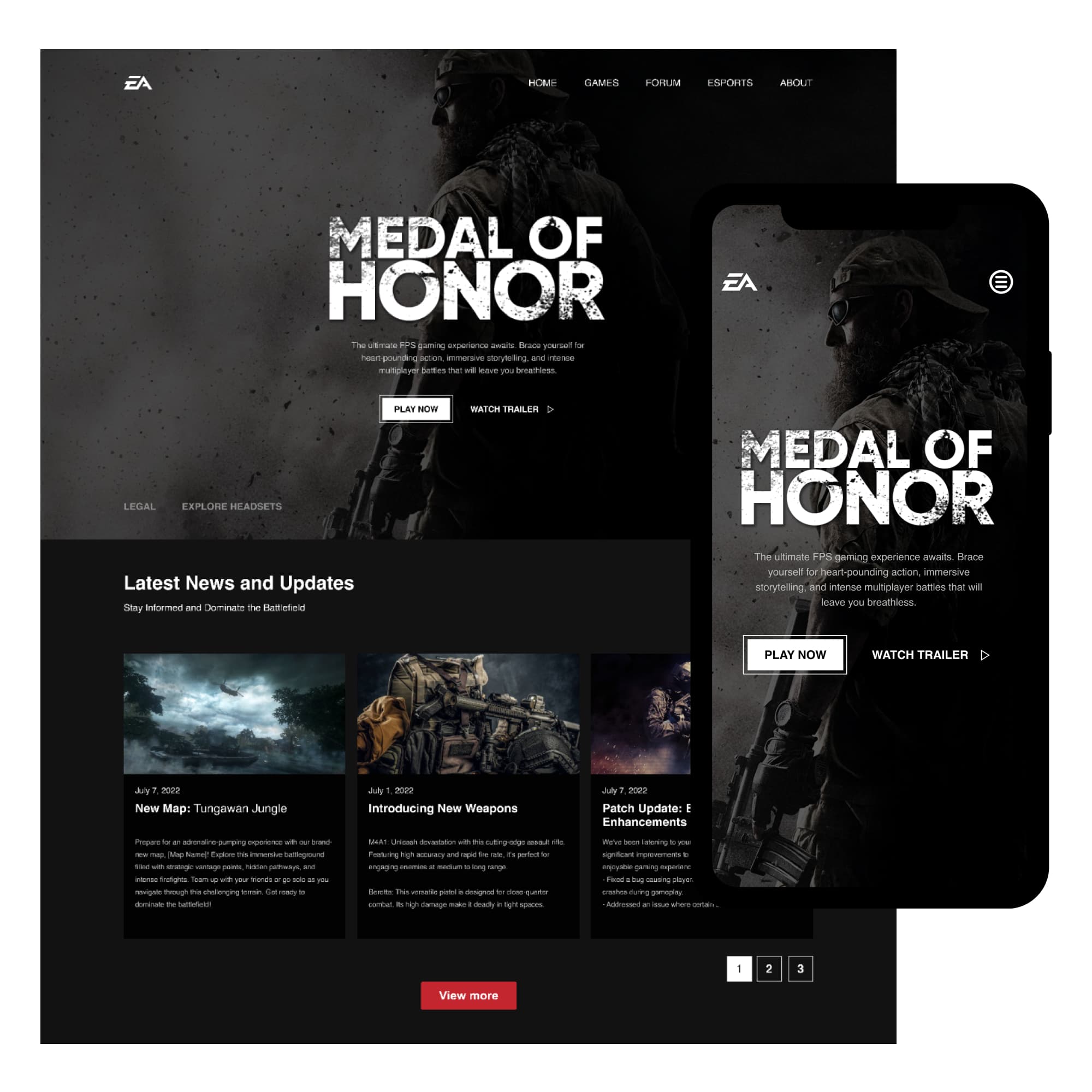Medal of Honor (Case Study)