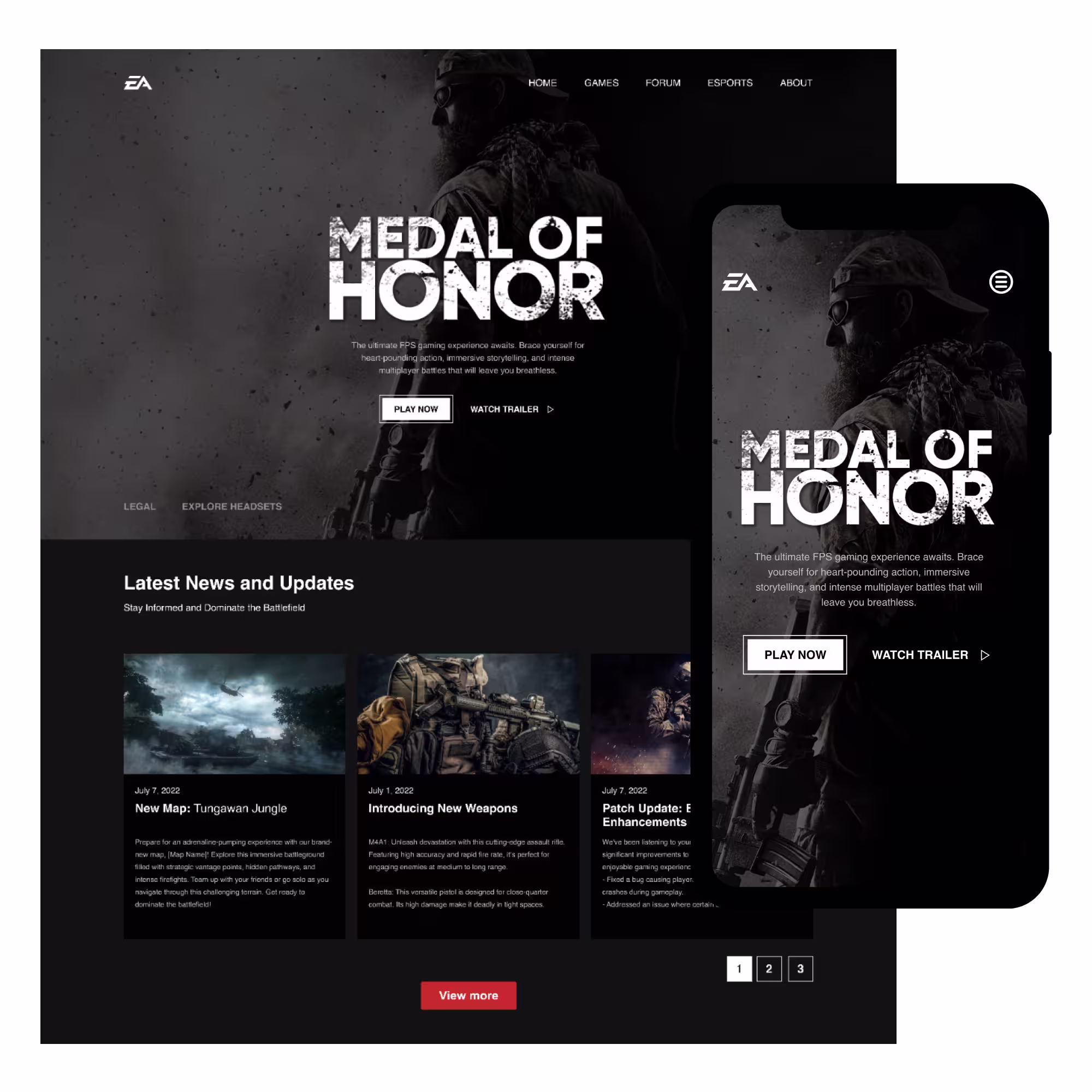 Medal of Honor (Case Study)